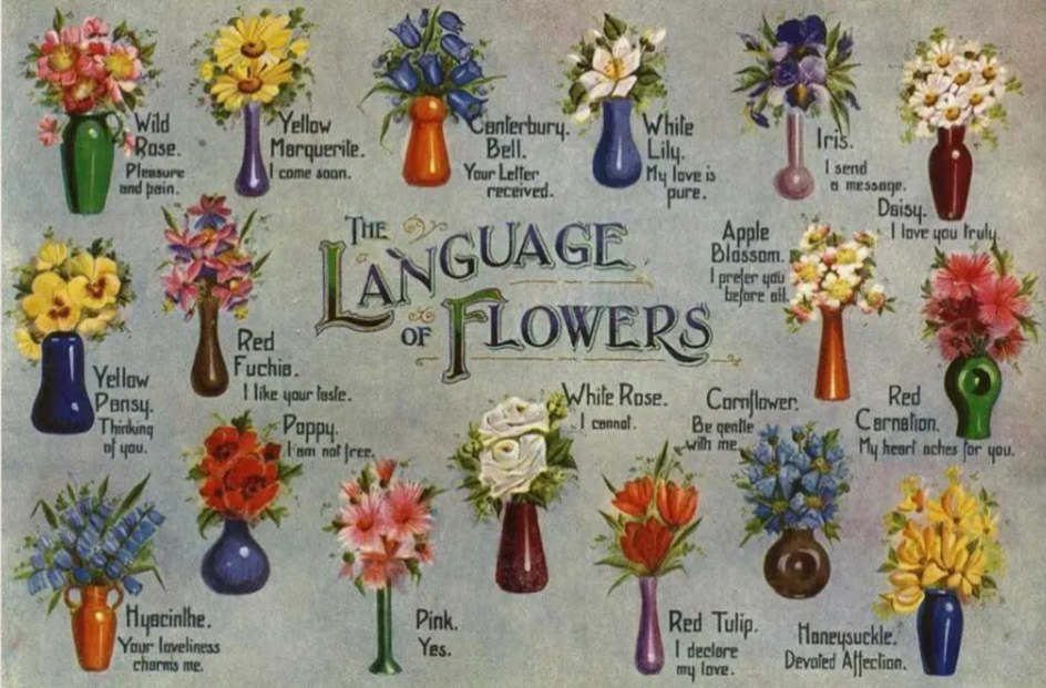 Dumbarton Oaks Archives, The language of flowers guide and meanings