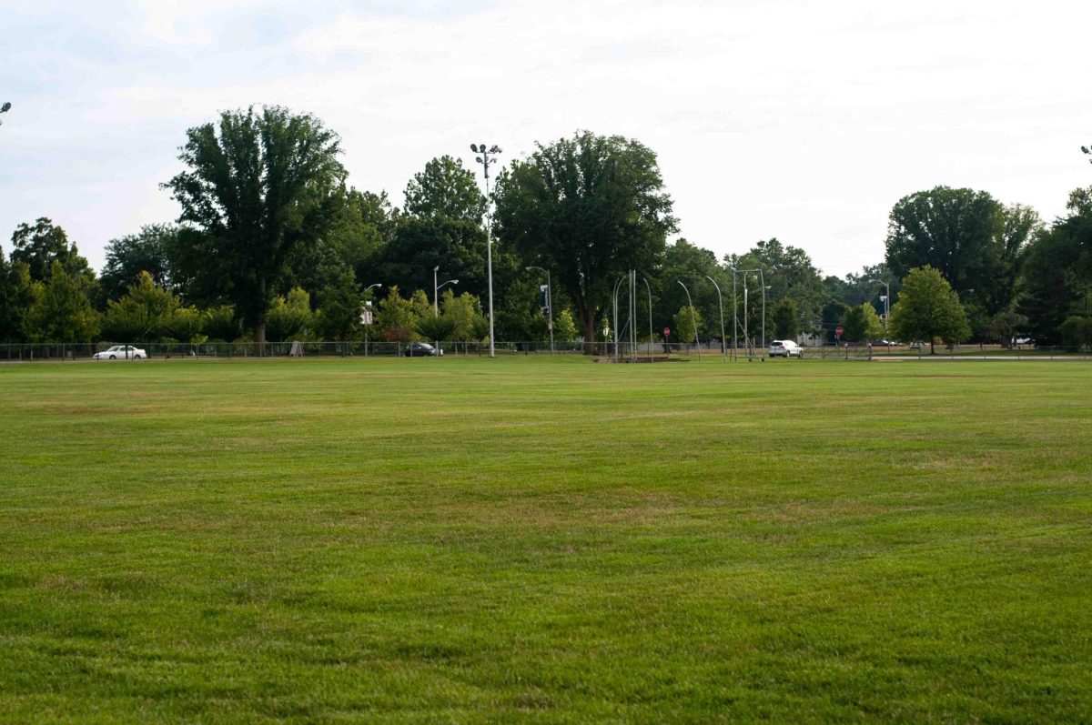 Tiger Games